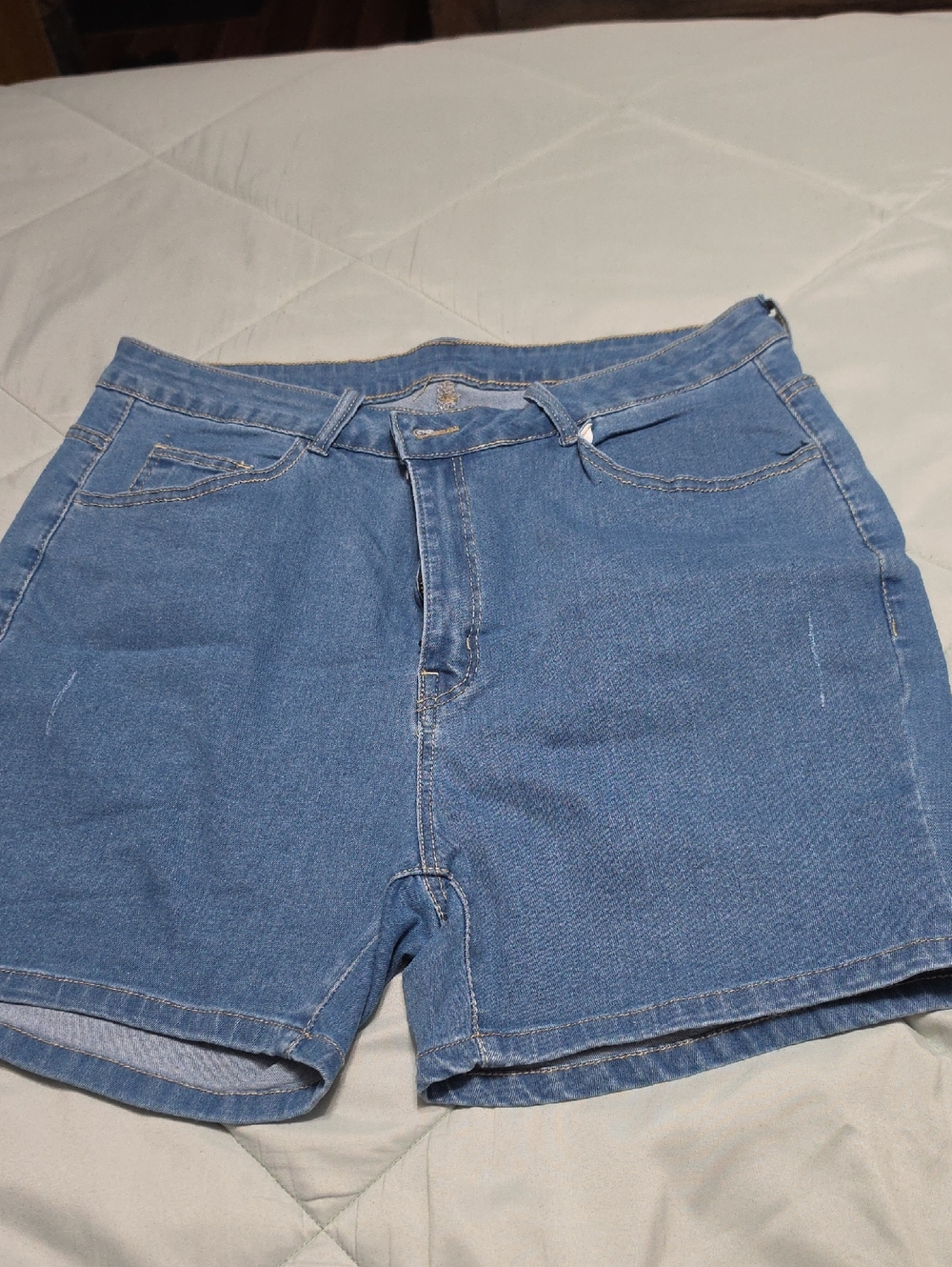 SHEIN Light Blue Denim High-Rise Women’s Shorts